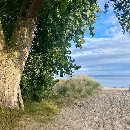 Feriendorf Suedstrand Haus 01 Pelzerhaken Exteriör bild